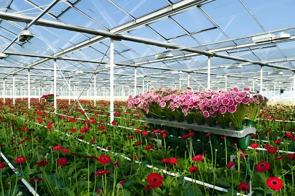 ما هو الفرق بين قماش القنب PE و PVC ؟