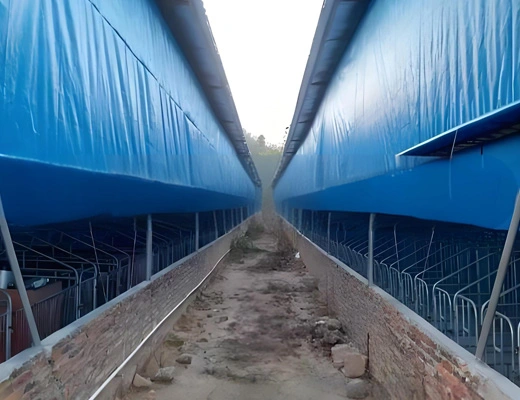 tarp-for-pool-ground