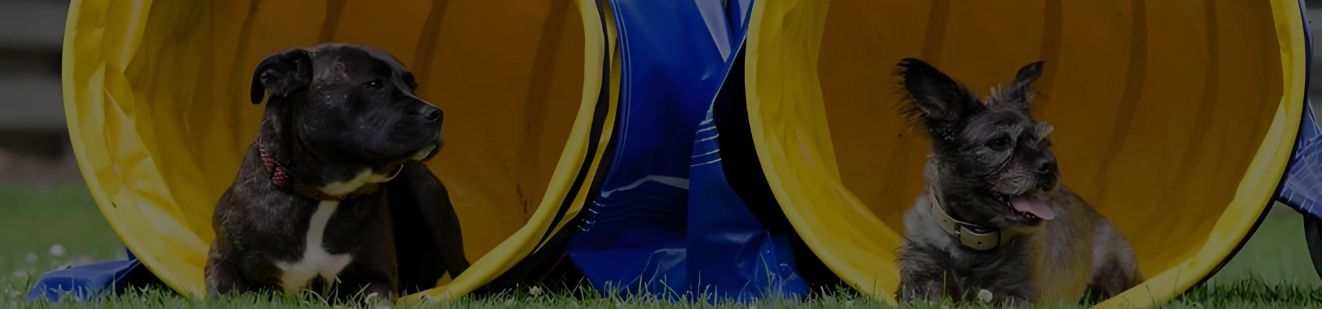 مواد رياضية من كلوريد البولي فينيل