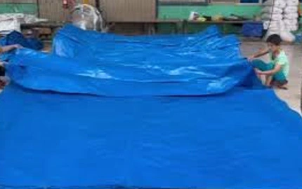 بي المنتج النهائي ورشة عمل 2