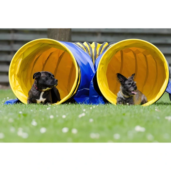 Dog Play Tunnel